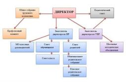 Модель организационной структуры управления школой